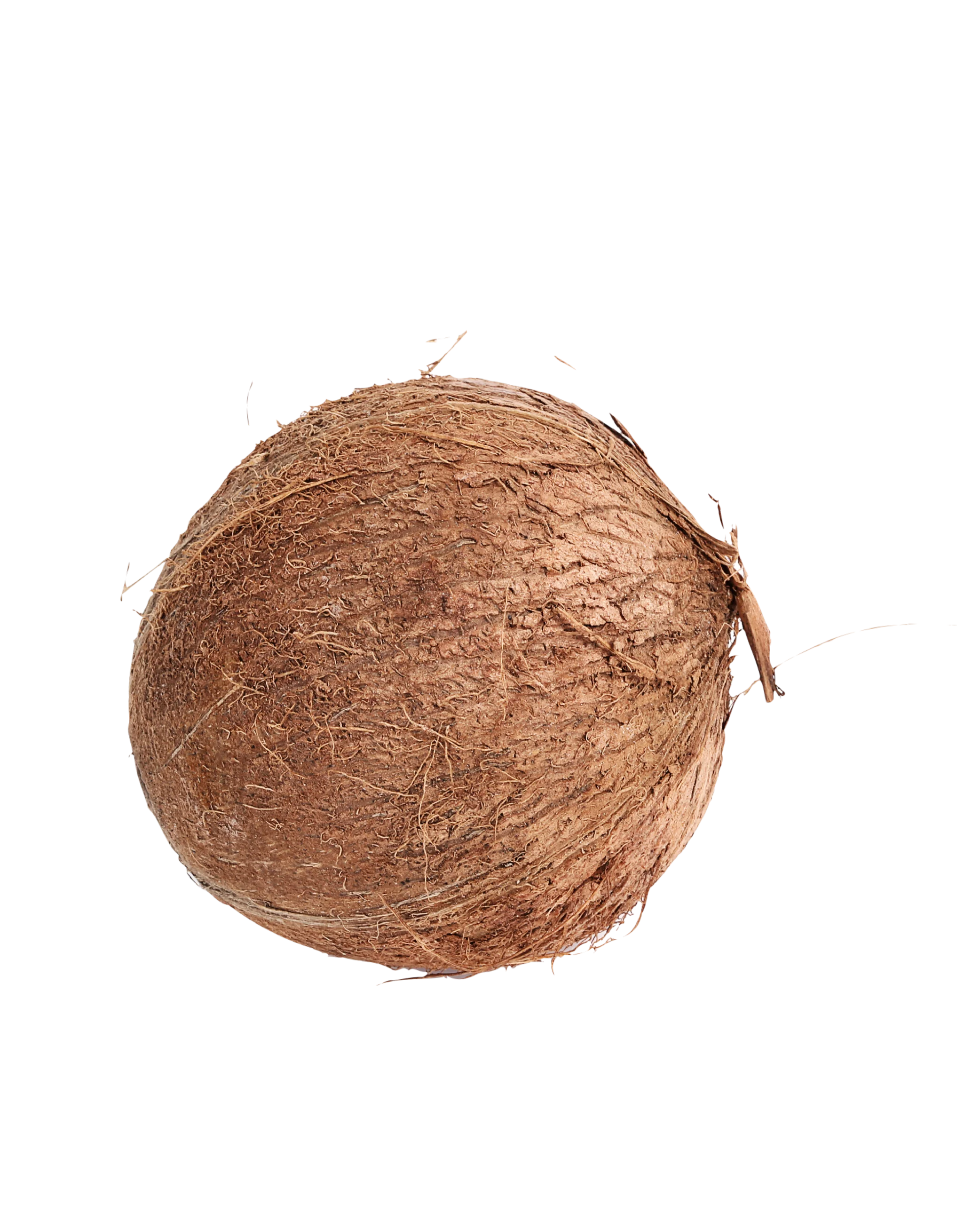 Pooja Pooja Coconut 